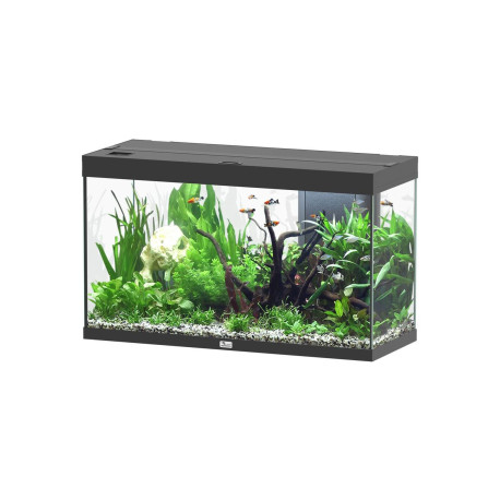 Aquatlantis SPLENDID ULTRA 100x40x61